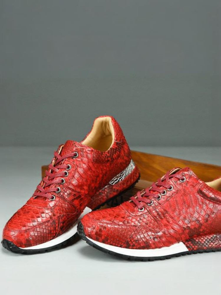 Concise Solid Color Snakeskin  - مراجعة Crossfit Male وسعره