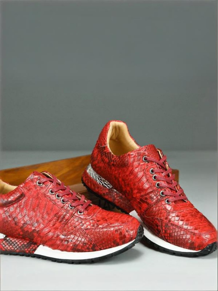 Concise Solid Color Snakeskin  - مراجعة Crossfit Male وسعره